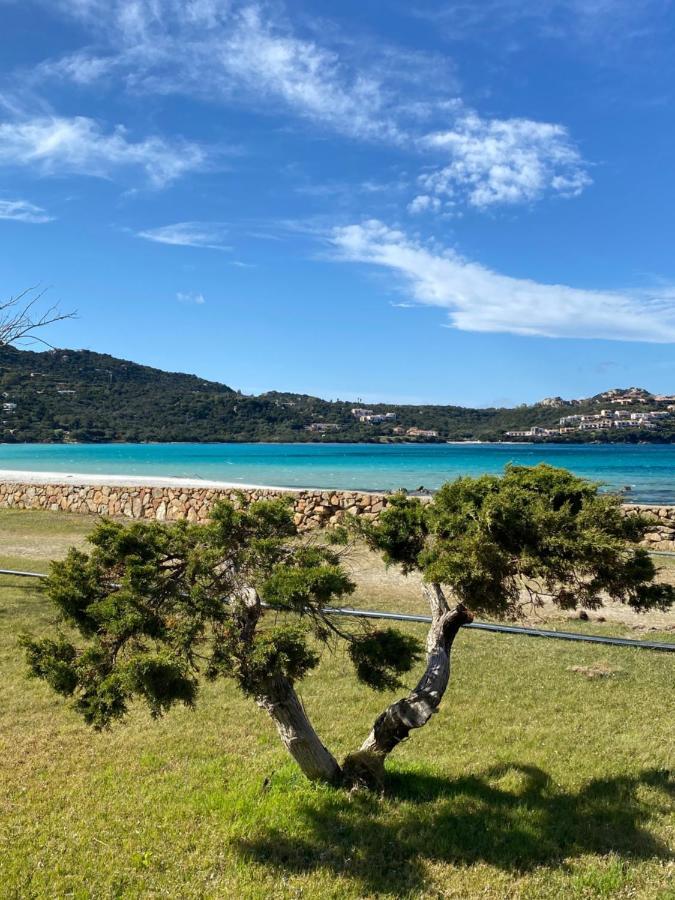 Cala Reale Rooms Marinella Марінелла Екстер'єр фото