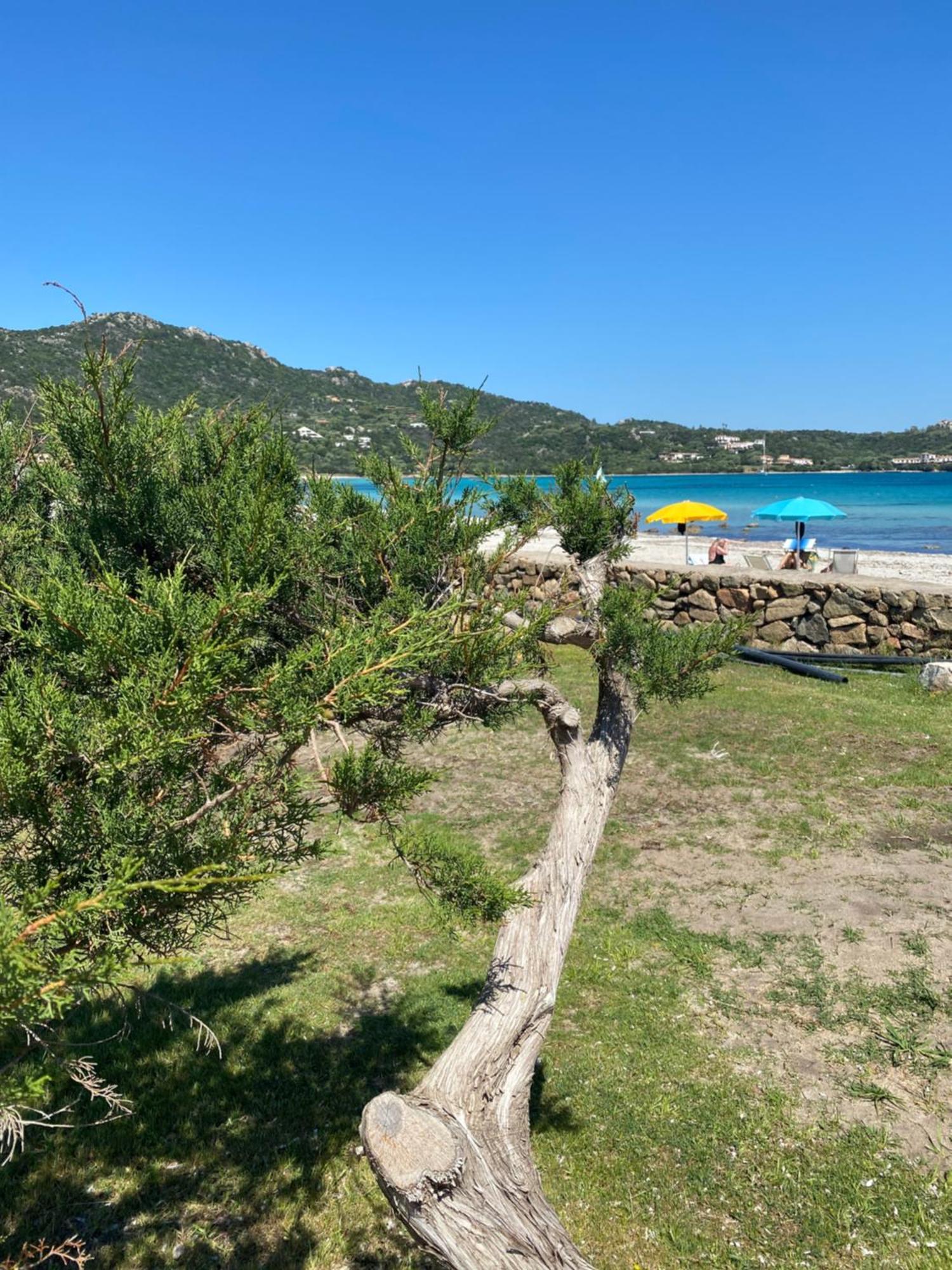 Cala Reale Rooms Marinella Марінелла Екстер'єр фото